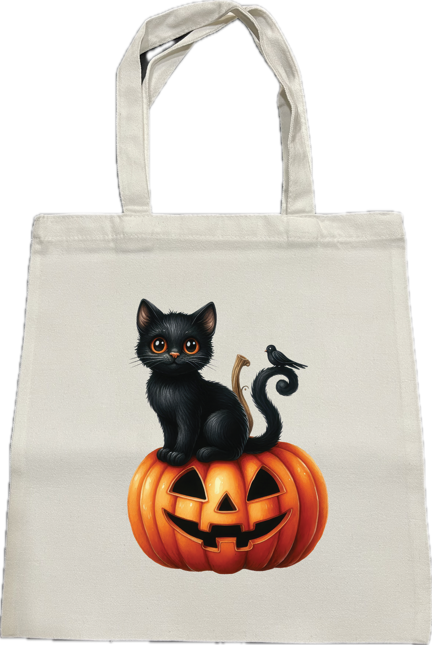 cat on Pumpkin